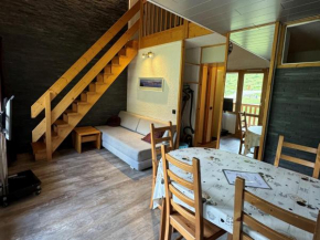 Spacieux appt 5 pers avec mezzanine, accès direct aux pistes - FR-1-181-2063